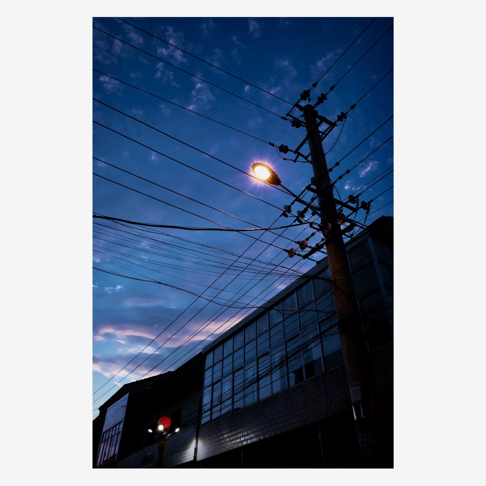 The Pocket Camera, photograph 6