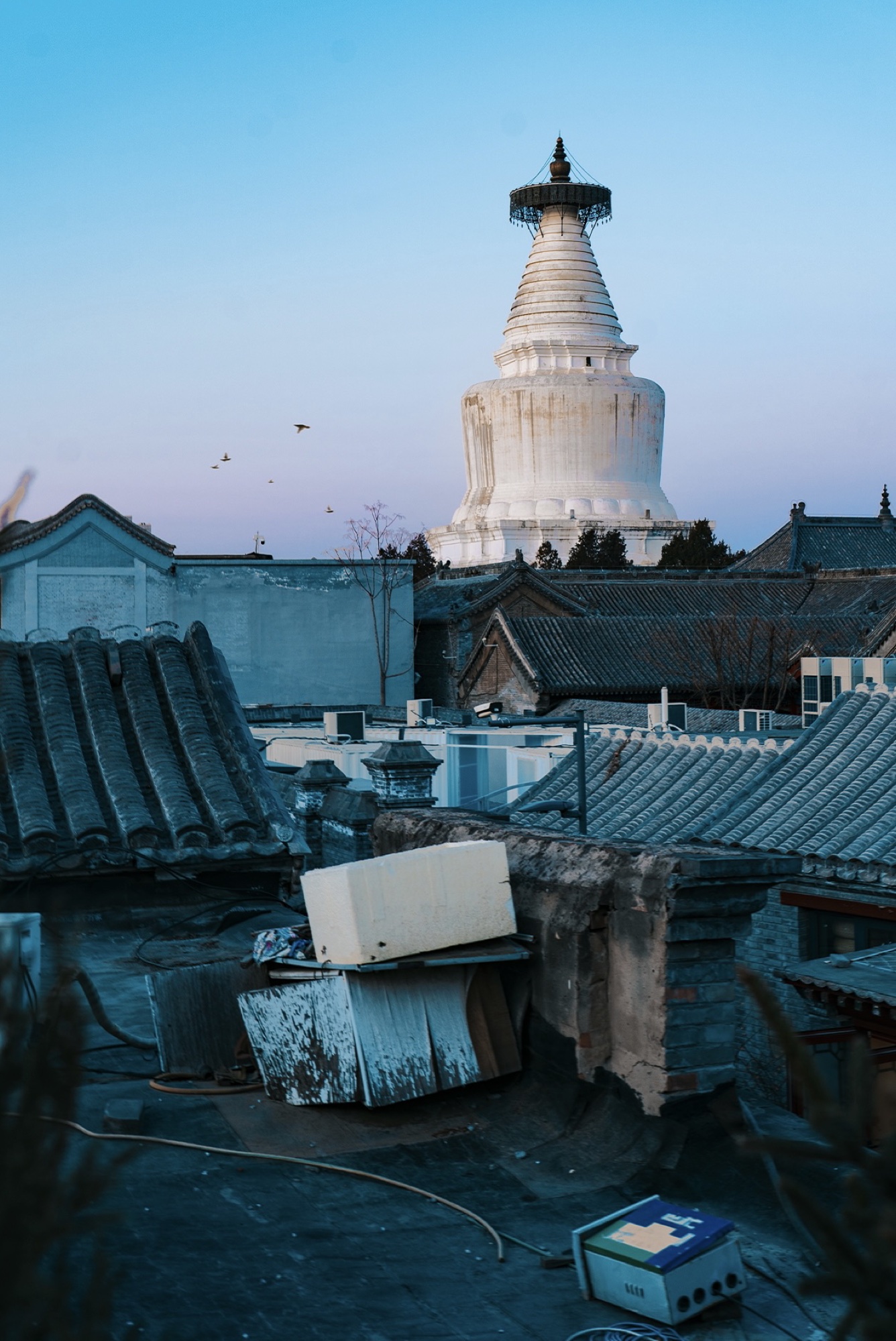 Beijing Skies, photograph 6